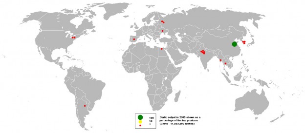 Valkosipulin tuottajamaat. Kuva: Wikimedia Commons